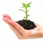 PMI: Marini (Coldiretti), Direttiva riconoscere ruolo economia reale