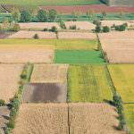 La Uila non invita il ministro Zaia al Congresso Nazionale