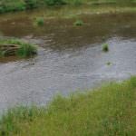 Maltempo: Coldiretti, Po sale di un metro in 24 ore