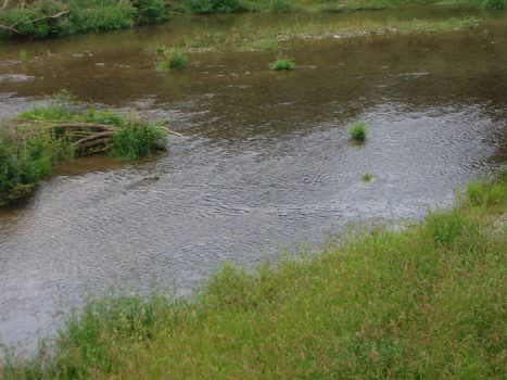 Maltempo: Coldiretti, Po sale 2 metri in 24 ore, allerta campi