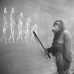 Al Cnr si confondono scienza e fede?