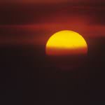 Fao: L'agricoltura svolge "un ruolo vitale" per ridurre le emissioni di Co2