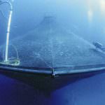 Galan: Pesca e acquacoltura tra le nostre priorità