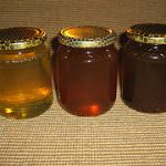 Miele di Manuka, ostacolo ai tumori