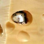 La contraffazione alimentare in Italia aumenta del 31%