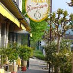 Bologna, giovedì 10 dicembre 2010: serata dedicata al tartufo bianco