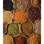 Fao: I prezzi dei cereali aumentano, ma siamo preparati