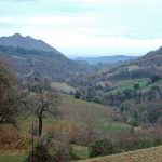 Per Comuni e Comunità montane della Tuscia 450.000 euro
