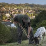 Basilicata: I tartuficoltori lanciano un grido d'allarme