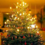 Natale: Coldiretti, i primati agricoltura italiana sotto l'albero di Assisi