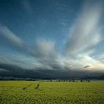 Alla Conferenza di Copenhagen manca una strategia complessiva per l'agroalimentare