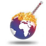 Fao: Le praterie più delle foreste sono importanti contro il riscaldamento del pianeta