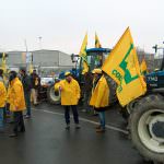 Latte: Coldiretti, riapre trattativa prezzi con assedio allevatori