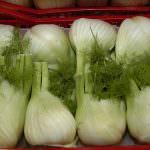 La Regione Piemonte finanzierà nuovi bandi per gruppi di acquisto e produttori agricoli associati