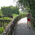 Il Parco Sile lancia un progetto di comunicazione multimediale rivolto alle scuole di tutta Italia