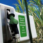 Usa: Un quarto dei cereali prodotti serve per alimentare... le auto