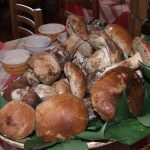 Agriturismo: si alla ristorazione tipica, la riforma è legge