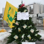 Natale: Coldiretti, allevatori piantano alberi davanti industrie latte