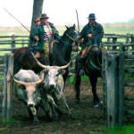 Risotto alla buttera