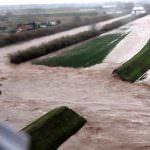 Maltempo: Tullio Marcelli in visita alle aziende pisane danneggate