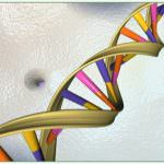 Nasce una rete per la diagnosi e il trattamento della Sla in Piemonte