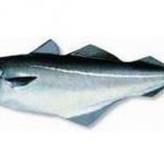 Merluzzo: meno peso, più difesi dalle malattie cardiovascolari