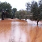 Maltempo: campagne allagate, molte aziende agricole isolate