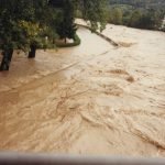 Coldiretti fa una prima stima dei danni dovuti al maltempo