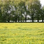 Ambiente: Basovizza (TS), "C'era una volta... il confine!"