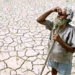 Agricoltura e clima: Siccità nei paesi produttori di tè, la quotazione in borsa corre al rialzo