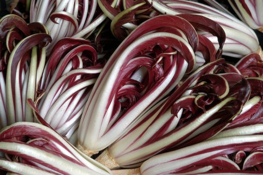Conclusa ufficialmente ieri a Cibus la stagione 2009-2010 del Radicchio rosso di Treviso IGP
