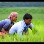 Immigrati: Coldiretti, bene Sacconi 80 mila stagionali attesi nei campi