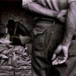 Confagricoltura all'audizione della commissione lavoro della Camera dei Deputati: il lavoro sommerso è un problema anche per le imprese