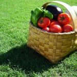 Verdura biologica? Meno nutriente e saporita di quella tradizionale