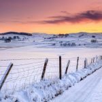 Protegge l'orzo, fornisce acqua: la neve alleata della birra