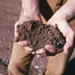 Rosarno: Il vero problema è la crisi in cui versa il settore agricolo