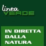 Oggi Linea Verde in sopralluogo sul Sile