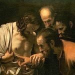 Foggia: che fine han fatto i funghi cinesi di Cerignola?