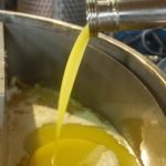 Olio: in autunno 5 milioni di bottiglie a marchio "100% italiano"