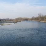 Varese: Creazione di corridoi ecologici per la conservazione della biodiversità