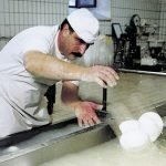 Mozzarella bufala: Coldiretti, da calo consumi 20 mila posti a rischio
