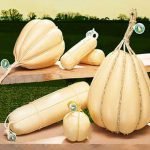 Marchio "Alti Formaggi" per tutelare le eccellenze lombarde
