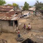Haiti: la ricostruzione post-terremoto parte dal settore agricolo