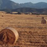 Così gli agricoltori colonizzarono l'Europa