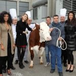 Quella rossa friulana, così ammirata