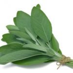 Fagioli all'uccelletto