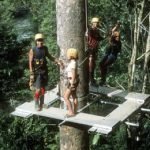 Friuli Venezia Giulia: Nasce il "Parco acrobatico forestale"