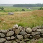 Fondi Psr: Accordo tra Agea e Regioni