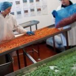 Industria alimentare: Nonostante con la crisi il comparto regge e cresce