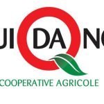 Agroalimentare, fare la spesa in cooperativa: nascono i negozi "Qui da Noi"